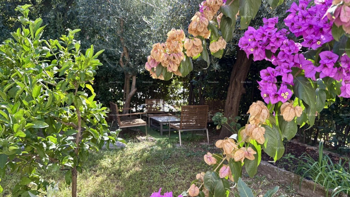 PULA, center – prodaja / stan 55 m² z vrtom in parkirnim mestom 19