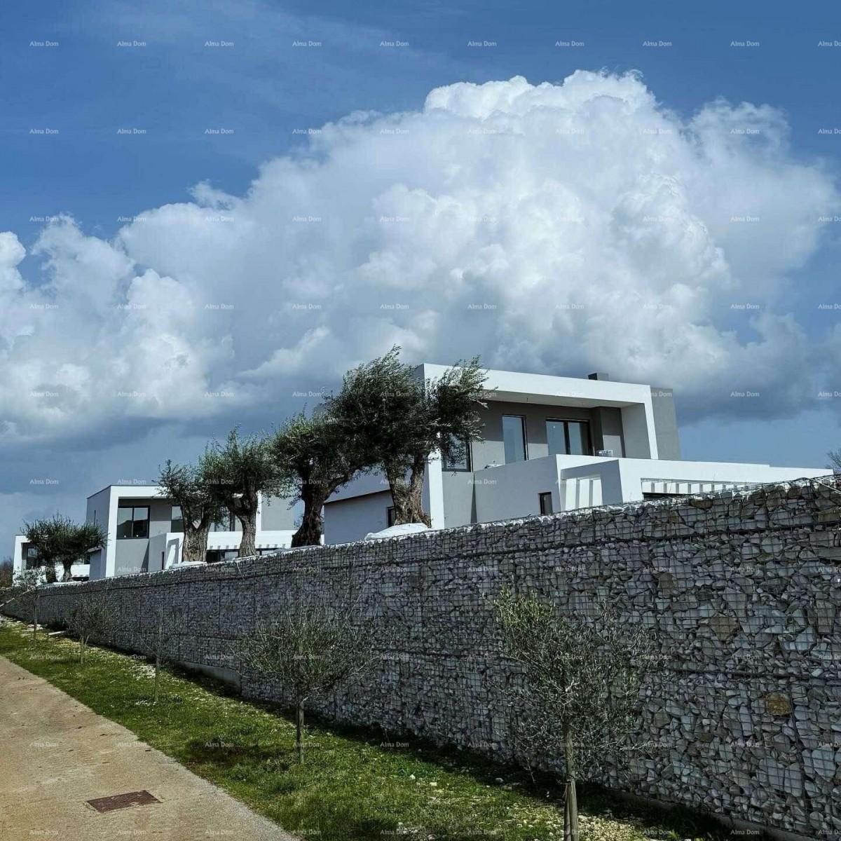 Villa di lusso con piscina in vendita, Sanvincenti 3