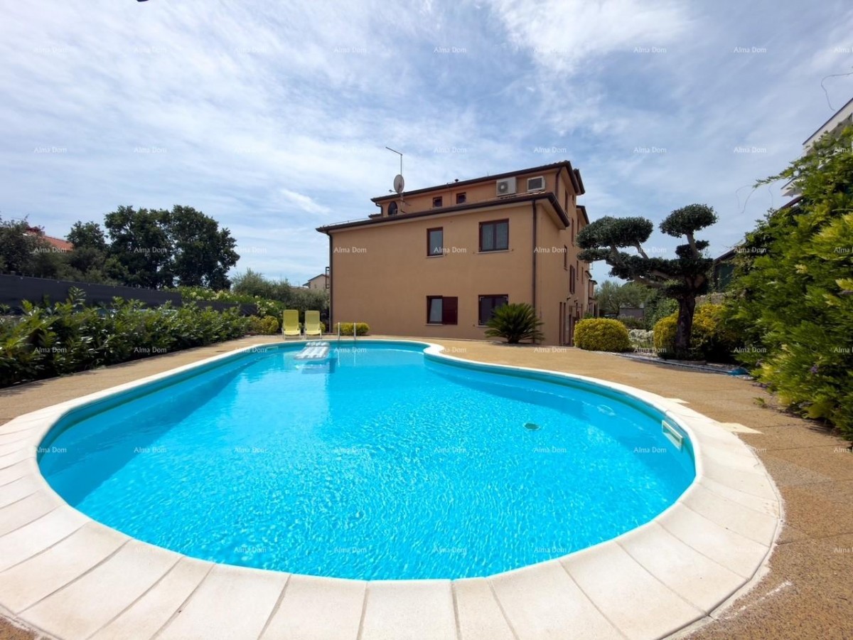 Novigrad, appartamento in posizione attraente con piscina. 1
