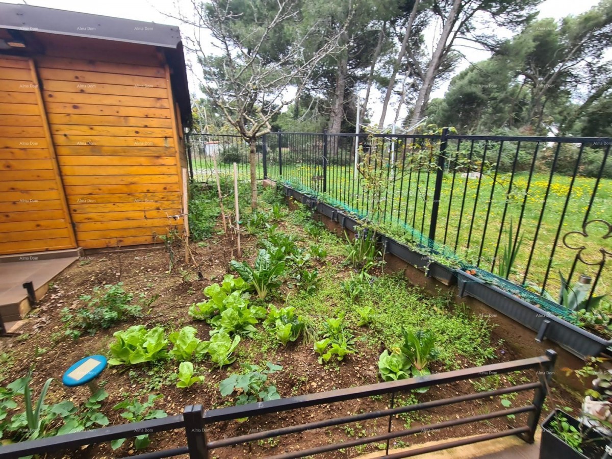 ДОМ С 3 АПАРТАМЕНТАМИ, МЕДУЛИН 33