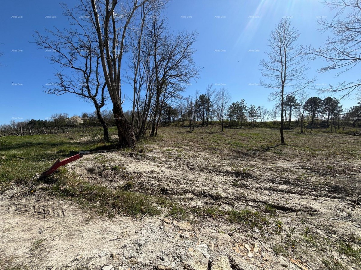 PAZIN (Istria) - terreno edificabile 1543 m2, nella zona verde 2