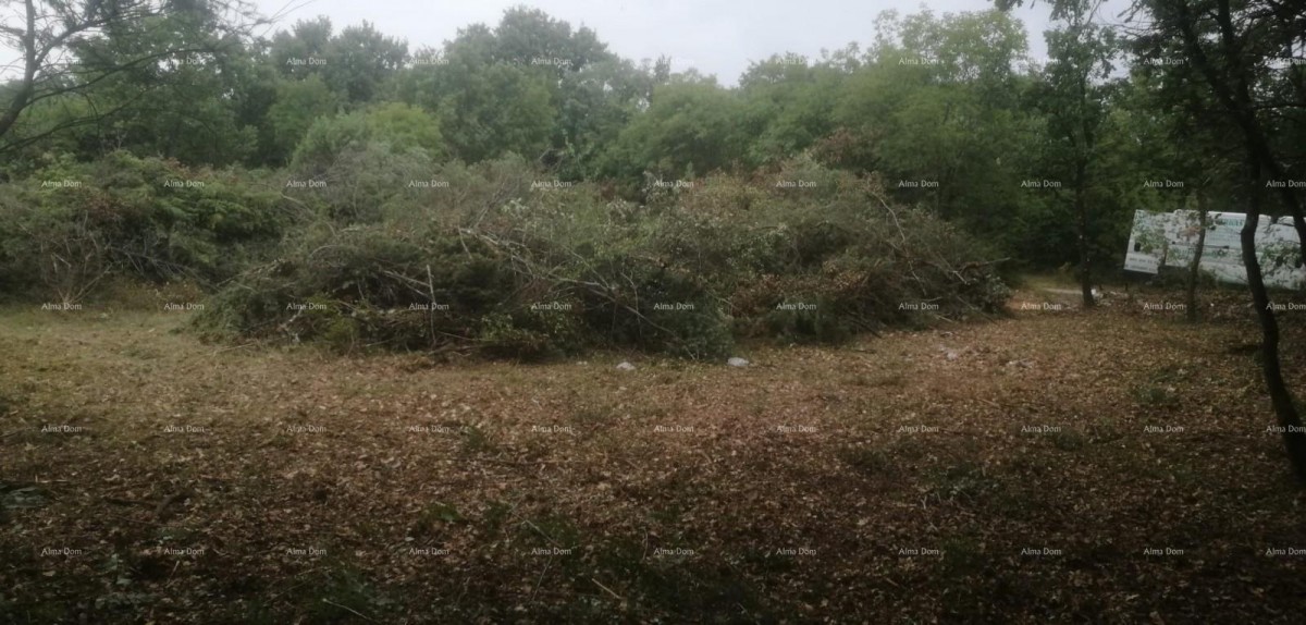 Эемля Svetvinčenat 5