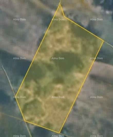 Земельный участок – Врх, Каштель, Буе 1