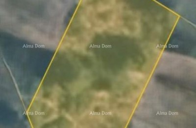 Земельный участок – Врх, Каштель, Буе