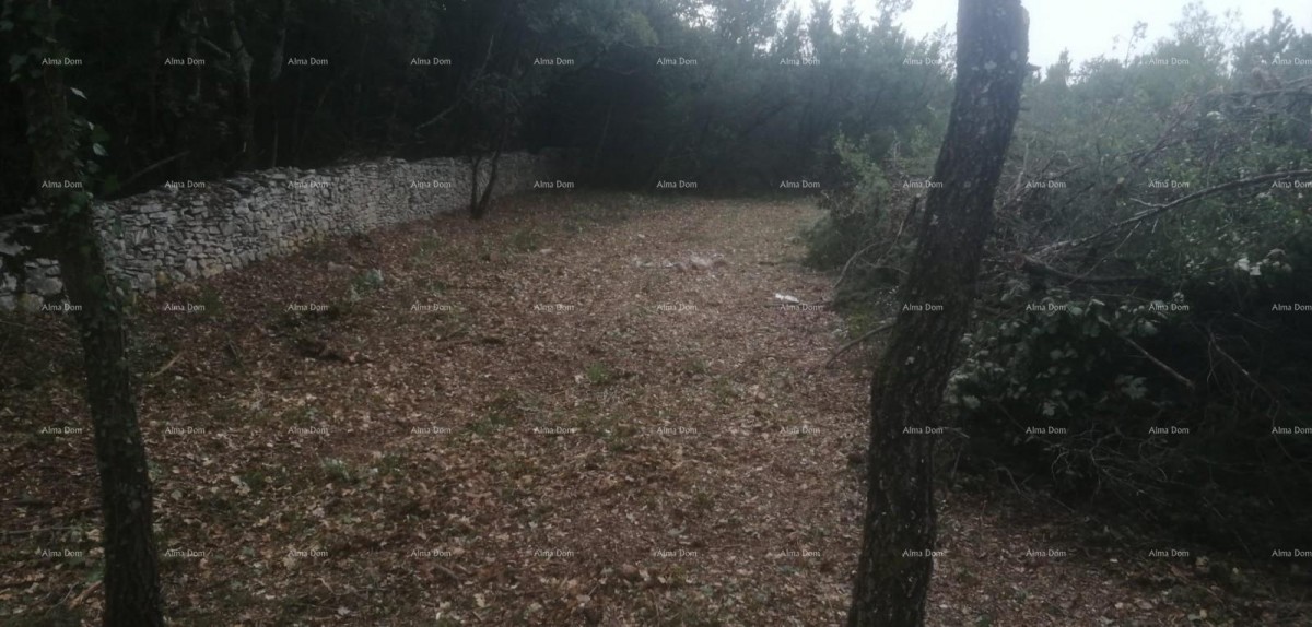 Эемля Svetvinčenat 6