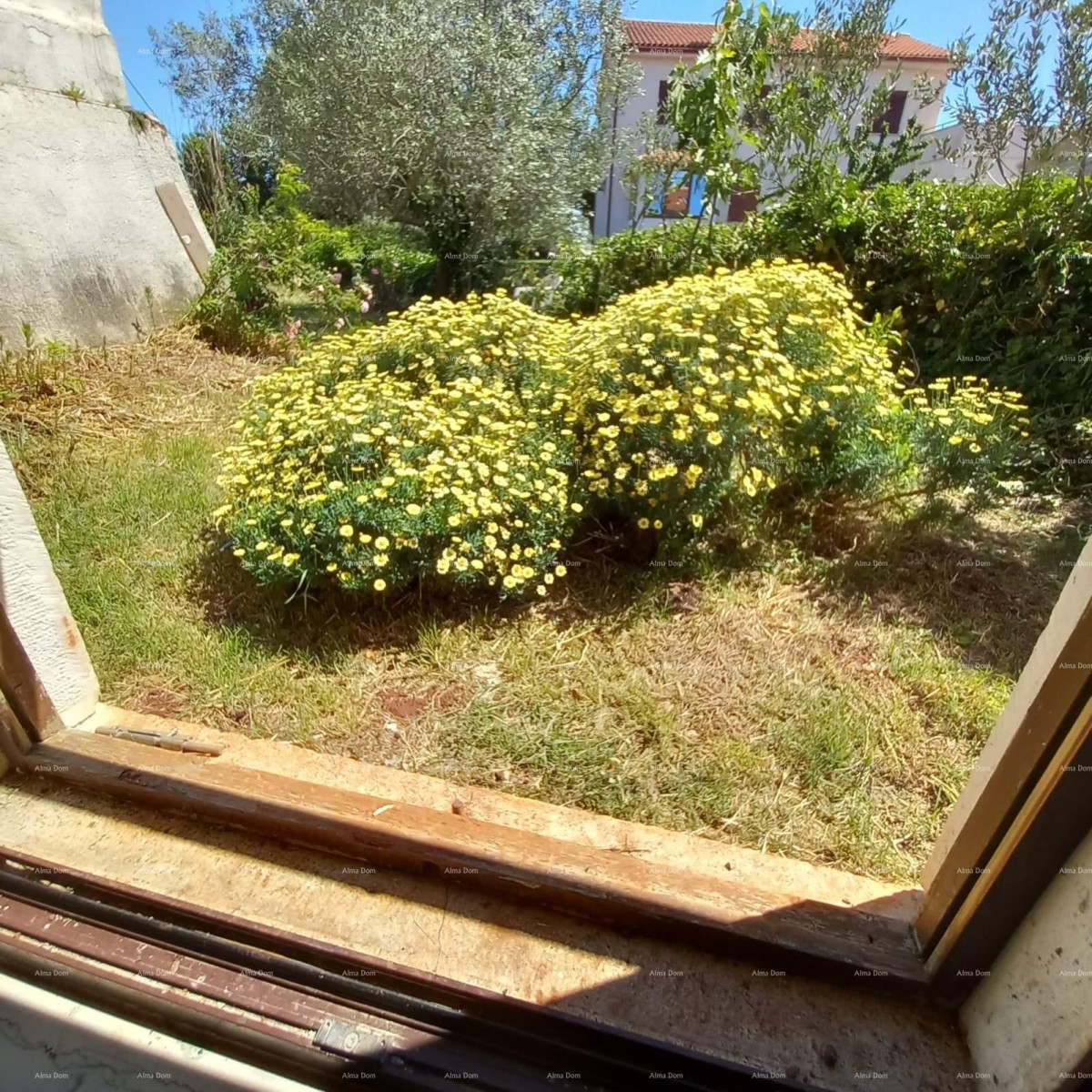 Na prodaju: šarmantna istarska kuća s prostranim dvorištem – Valtura 8