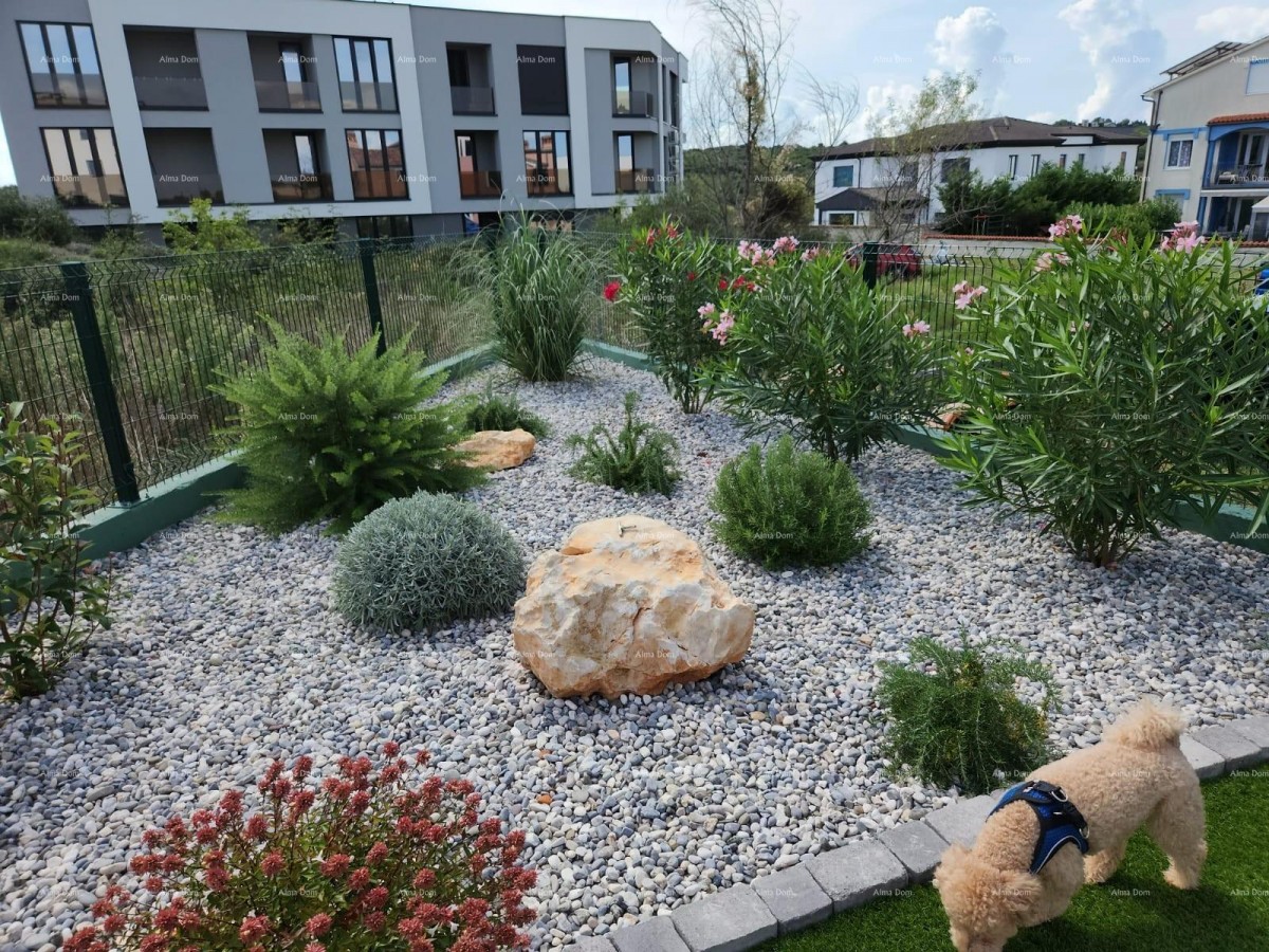 Modern oasis with a pool and private garden in Banjole 8