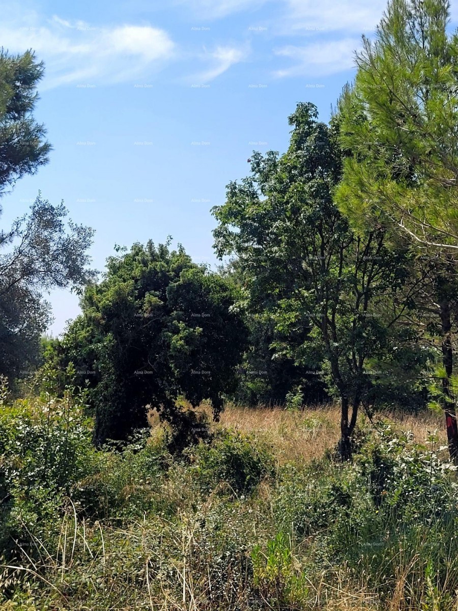 Atraktivna građevinska parcela u Medulinu, naselje Vrčevan 1