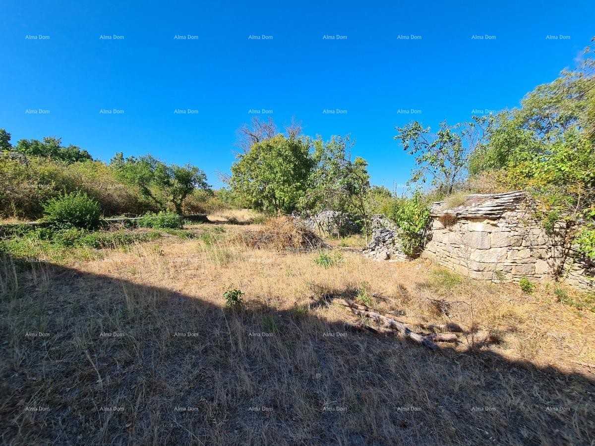Estate near Vodnjan! Large plot 7154 m2!! 7