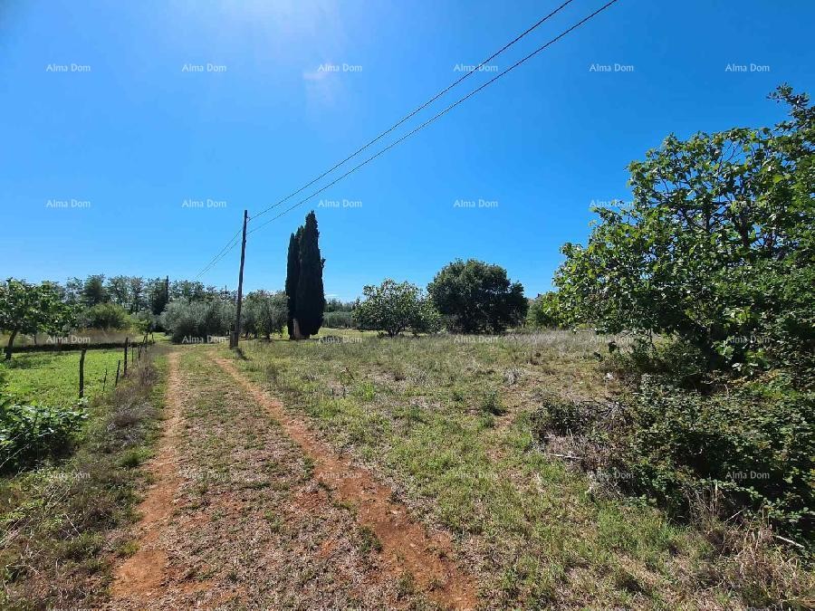 ПУЛА - Земля под застройку в Бусолере 4