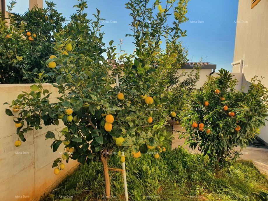 In vendita ampio appartamento con galleria e terrazza sul tetto – Foresta di Šijana 16