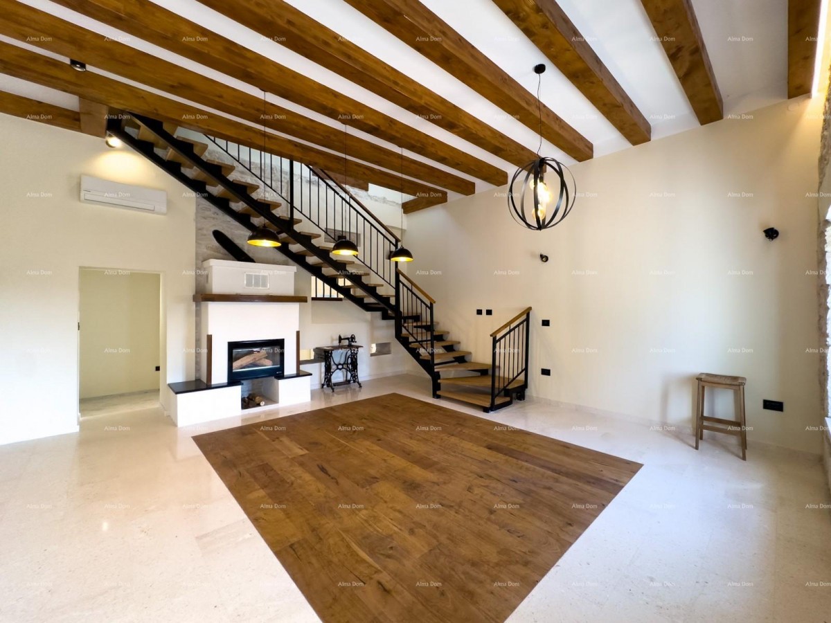 Редкость на рынке!   Istra  Barban 5