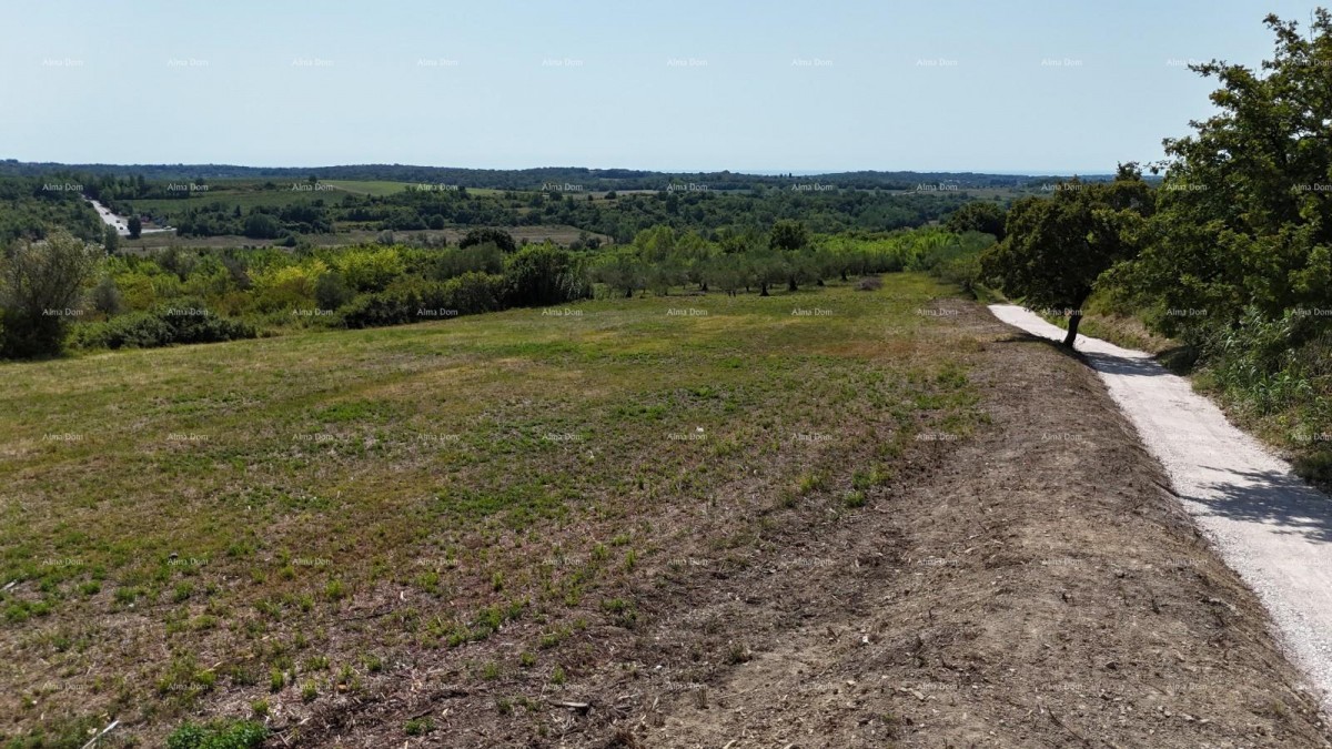 Prodaja građevinskih parcela sa pogledom na more, za izgradnju stambenih objekata, Buje! 6