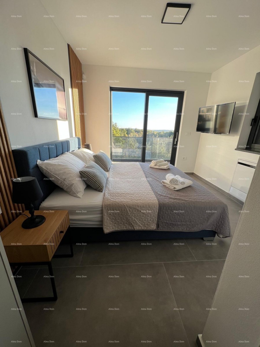 Vendita di una moderna villa con piscina, Svetvinčenat! 26