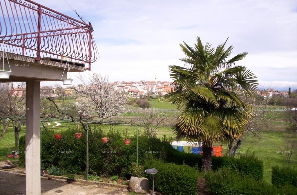 Casa con tre appartamenti e ampio terreno circondata da vigneti e uliveti 5