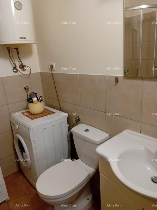 Марчана – Дом с оливковым садом 6