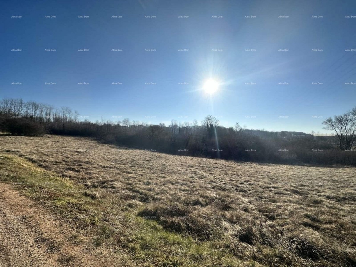 Zemljišče Motovun 1