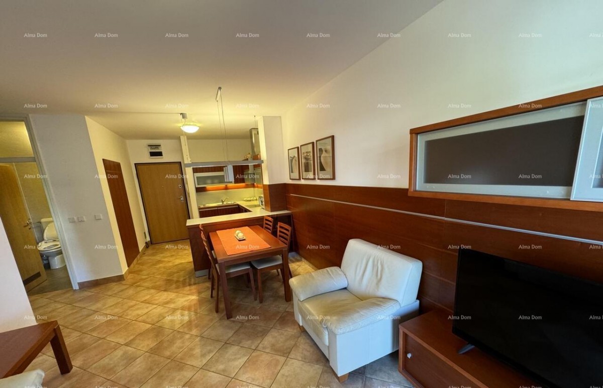 Appartamento Novigrad 4