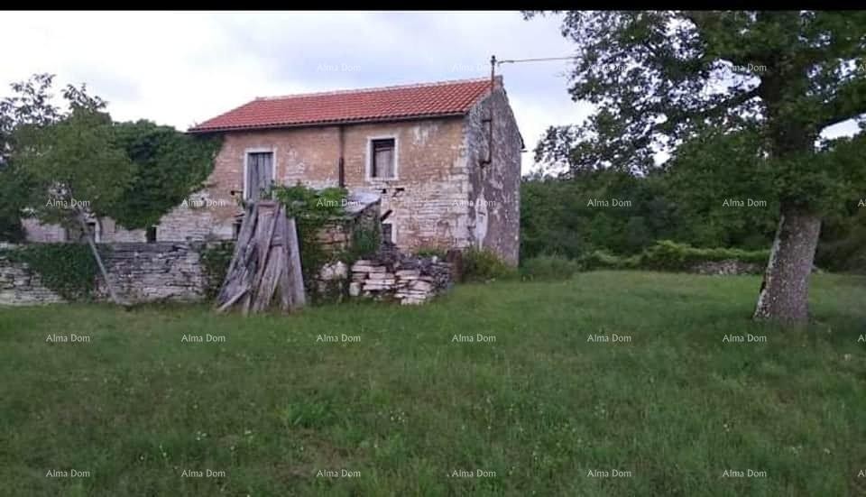 Casa in pietra d'Istria in vendita, Oprtalj 1