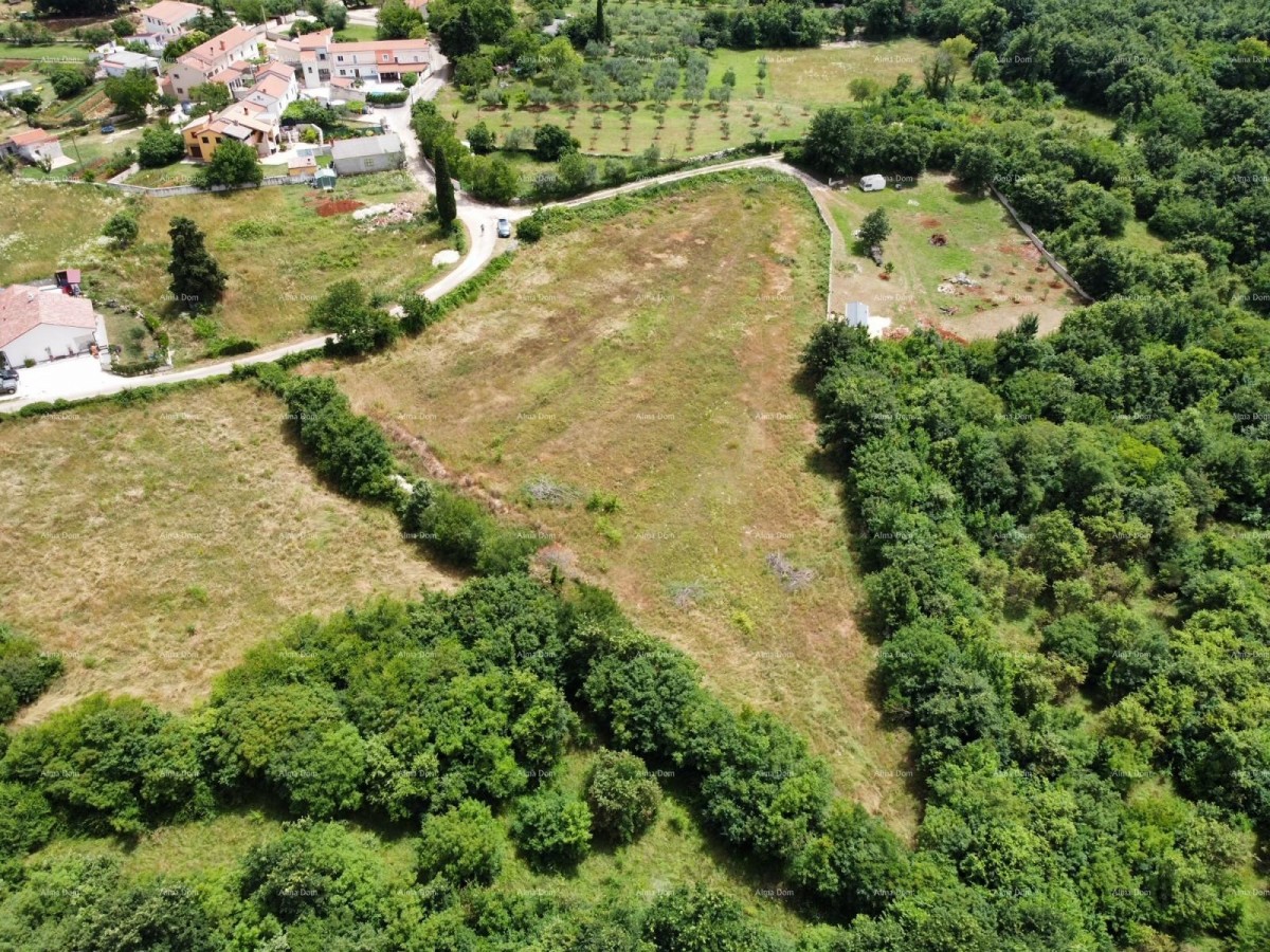 Near Vodnjan! Plots with building permit! 5