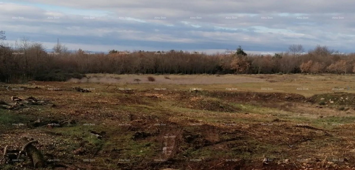 Продажа земли под застройку, Тар (Тар-Вабрига) 1