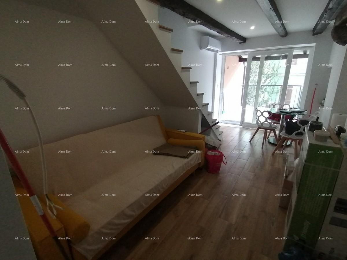 Newly renovated house in Pazin. 4