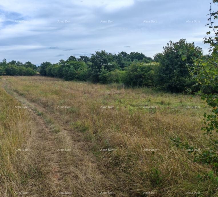 Građevinsko zemljište površine 1.600 m² v bližini Svetvinčenta 1