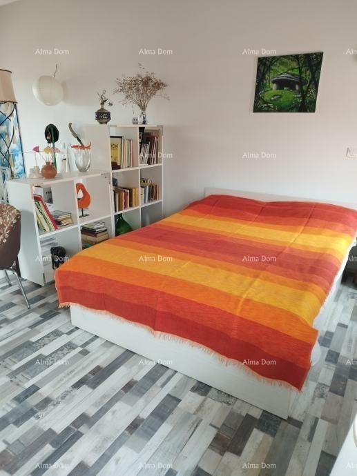 Stanovanje Brtonigla 3