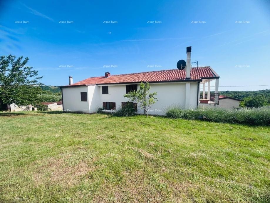 Buje – Samostojeća kuća s maslinikom i građevinskim zemljištem 7