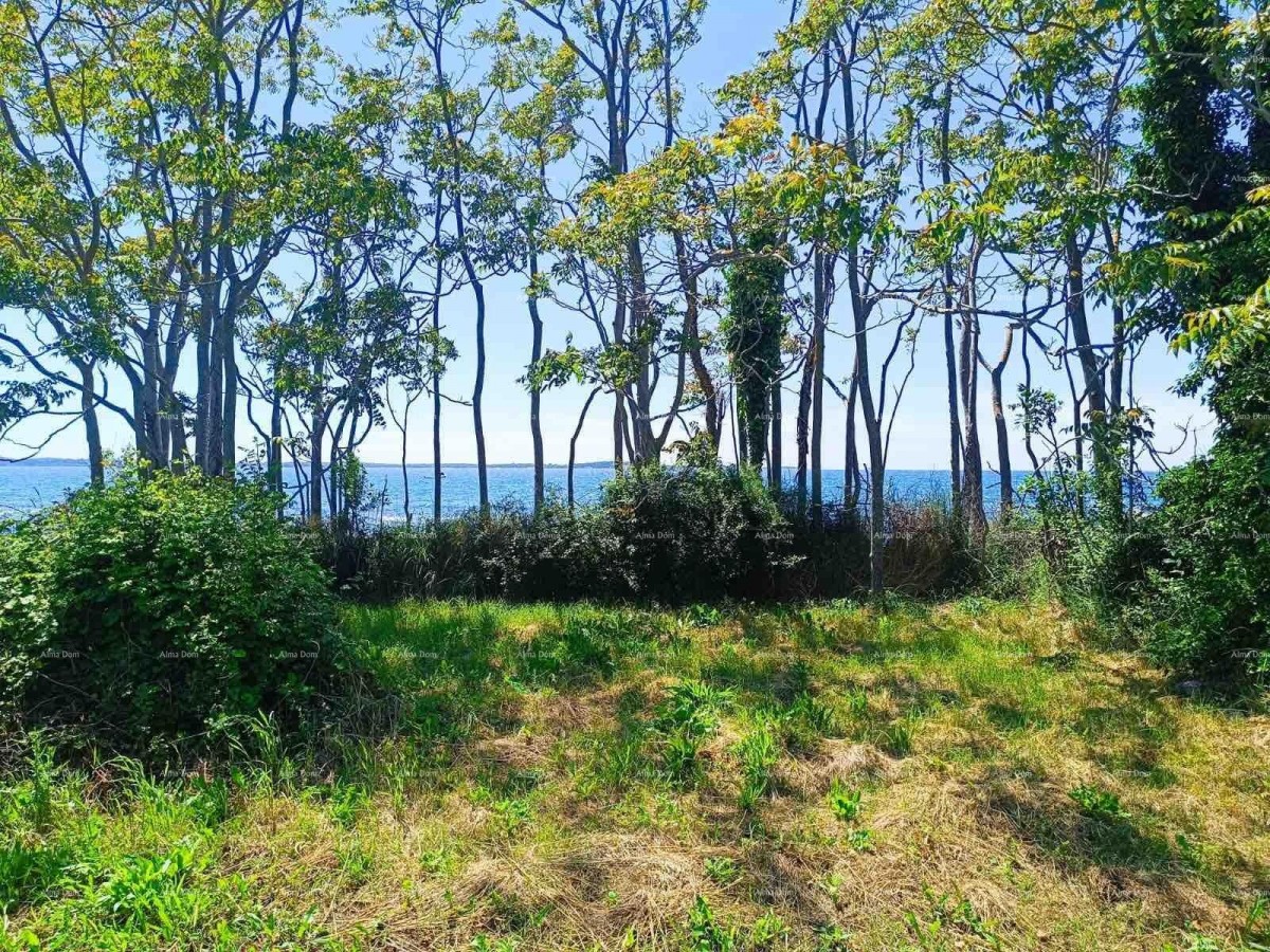 PEROJ – AGRICULTURAL LAND 2,715 m² NEAR THE SEA 10