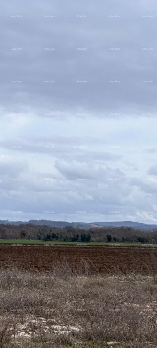 Terreno edificabile con concessione edilizia per la realizzazione di una palazzina uffici. Umago. 1