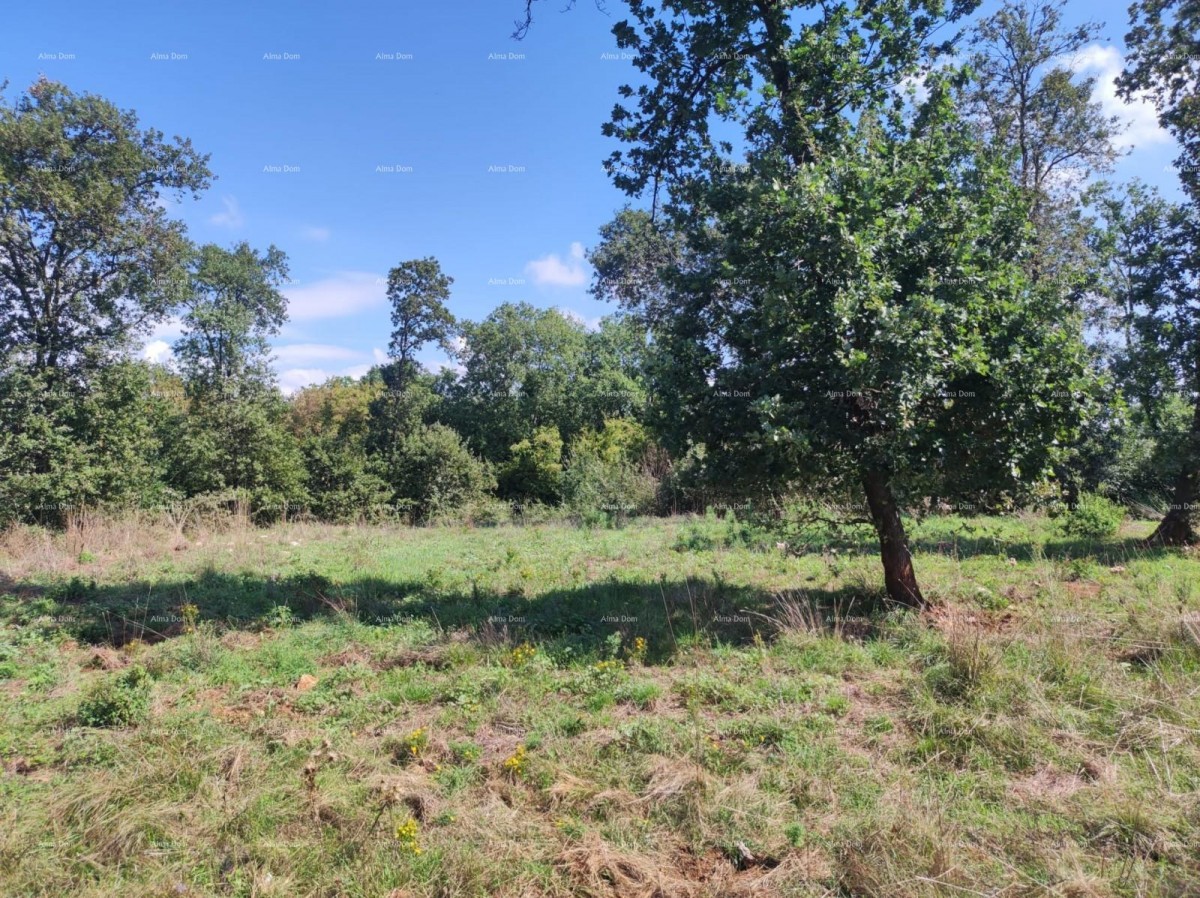 Vendita - TERRENO AGRICOLO, Pula, Valtura! 2