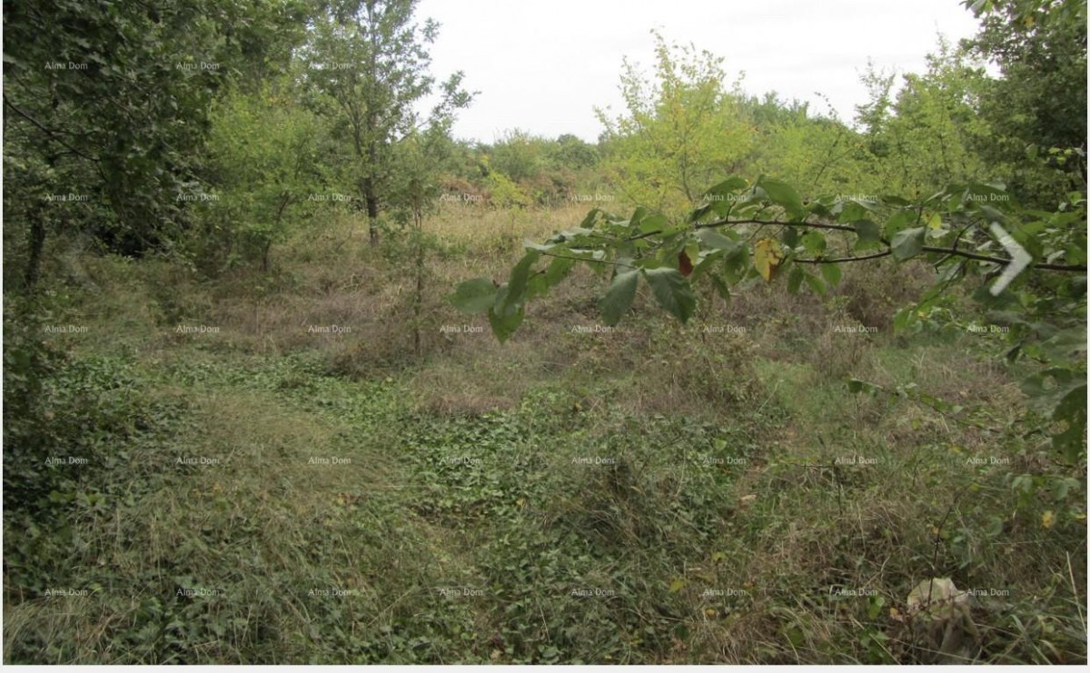 Zemljište Ližnjan 1