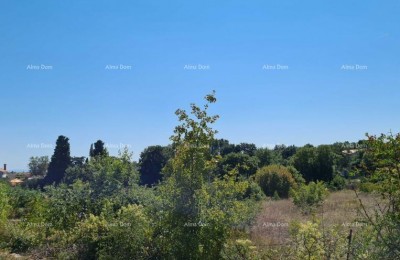 Građevinsko i poljoprivredno zemljište u cjelini!