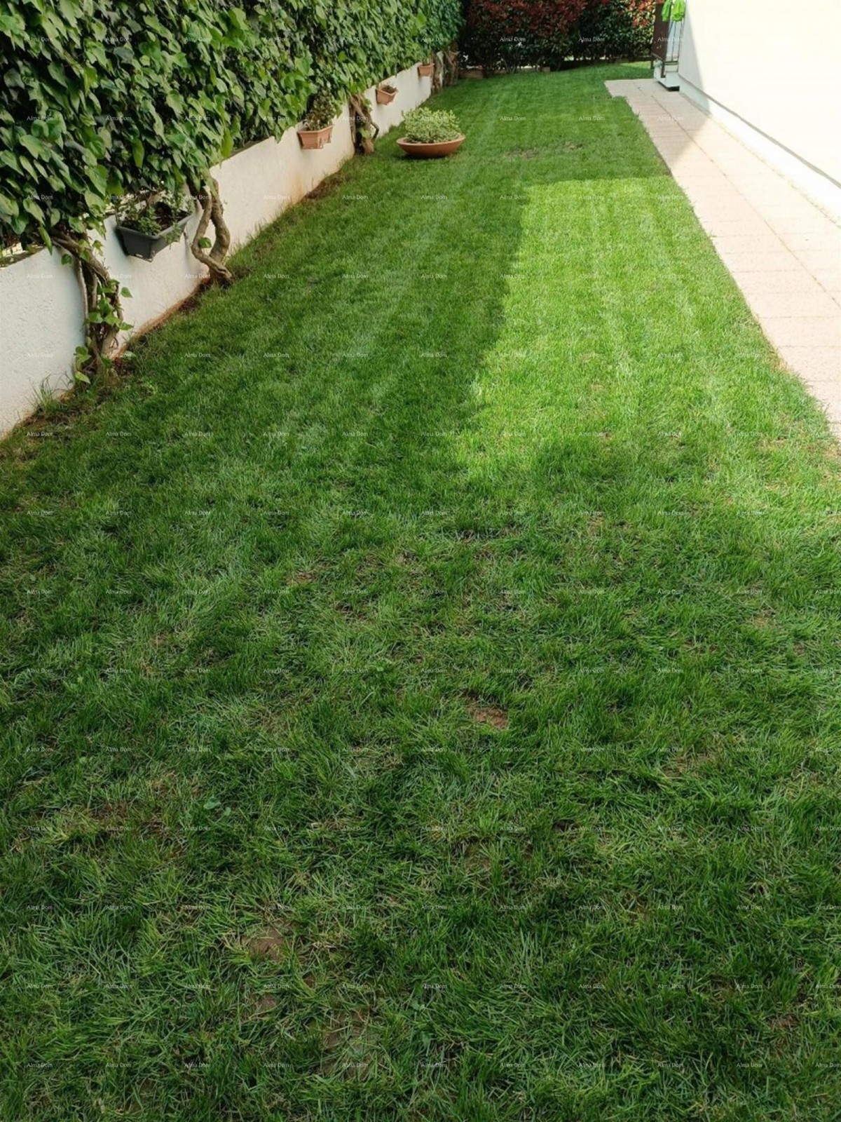 Spacious apartment with a yard, Tar 17