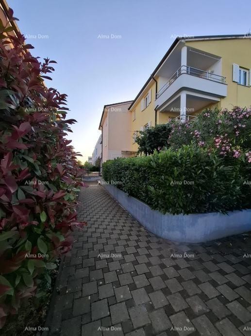 Продажа 3-комнатной квартиры, Новиград 1