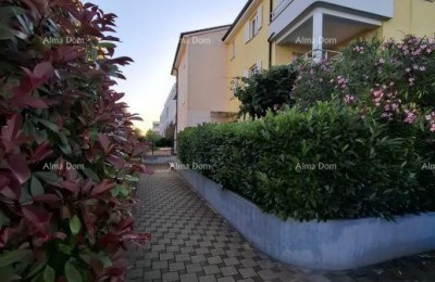 Продажа 3-комнатной квартиры, Новиград