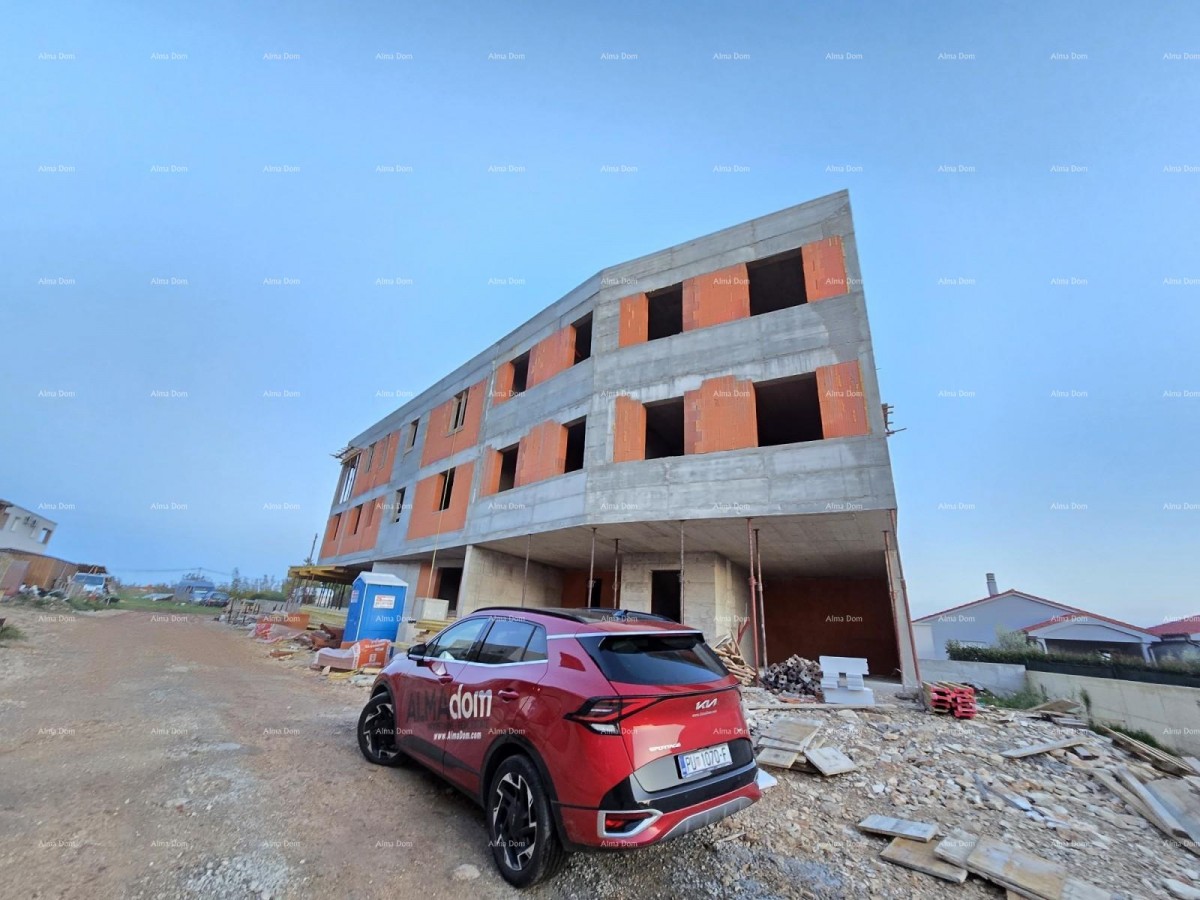 The translation of the title 17