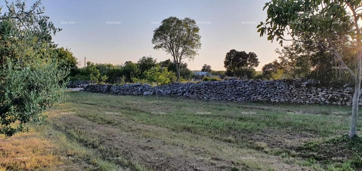 Zemljišče Marčana 6