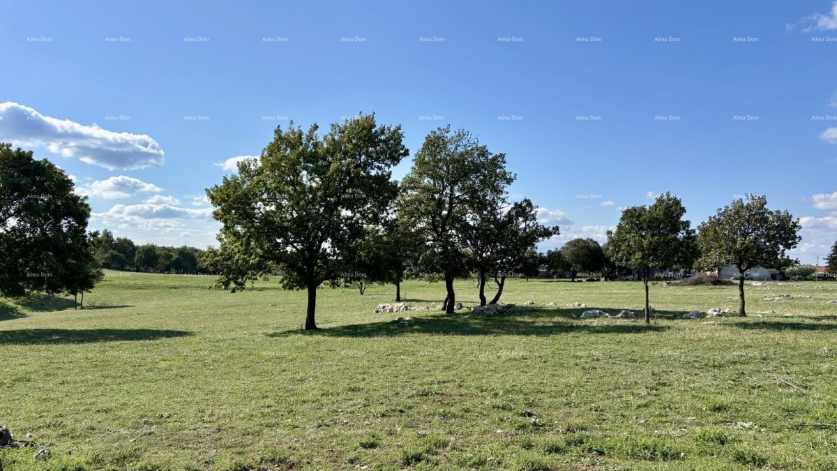 Marčana Cokuni  TERRENO 17