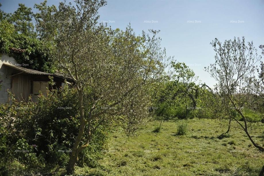 LOBORIKA - Construction and Agricultural Land 3