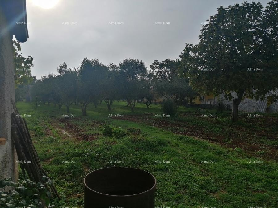 Građevinski teren sa 3 manja legalizirana objekta. Vareški. 14