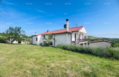 Buje – Samostojeća kuća s maslinikom i građevinskim zemljištem