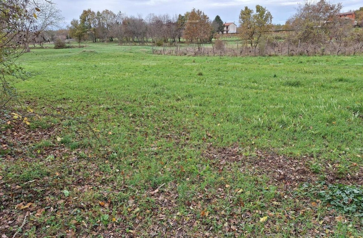 Construction land, 846 m2, Raša 1