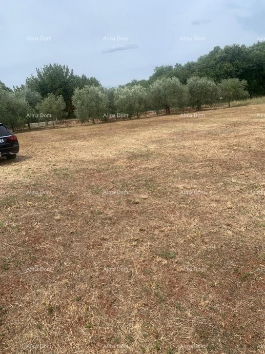 GRADBENIŠKO ZEMLJIŠČE BLIZU BRTONIGLE – 2.470 m² 1