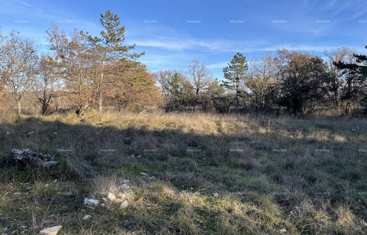 Юркания, Буйе. Строительный участок с панорамным видом 4