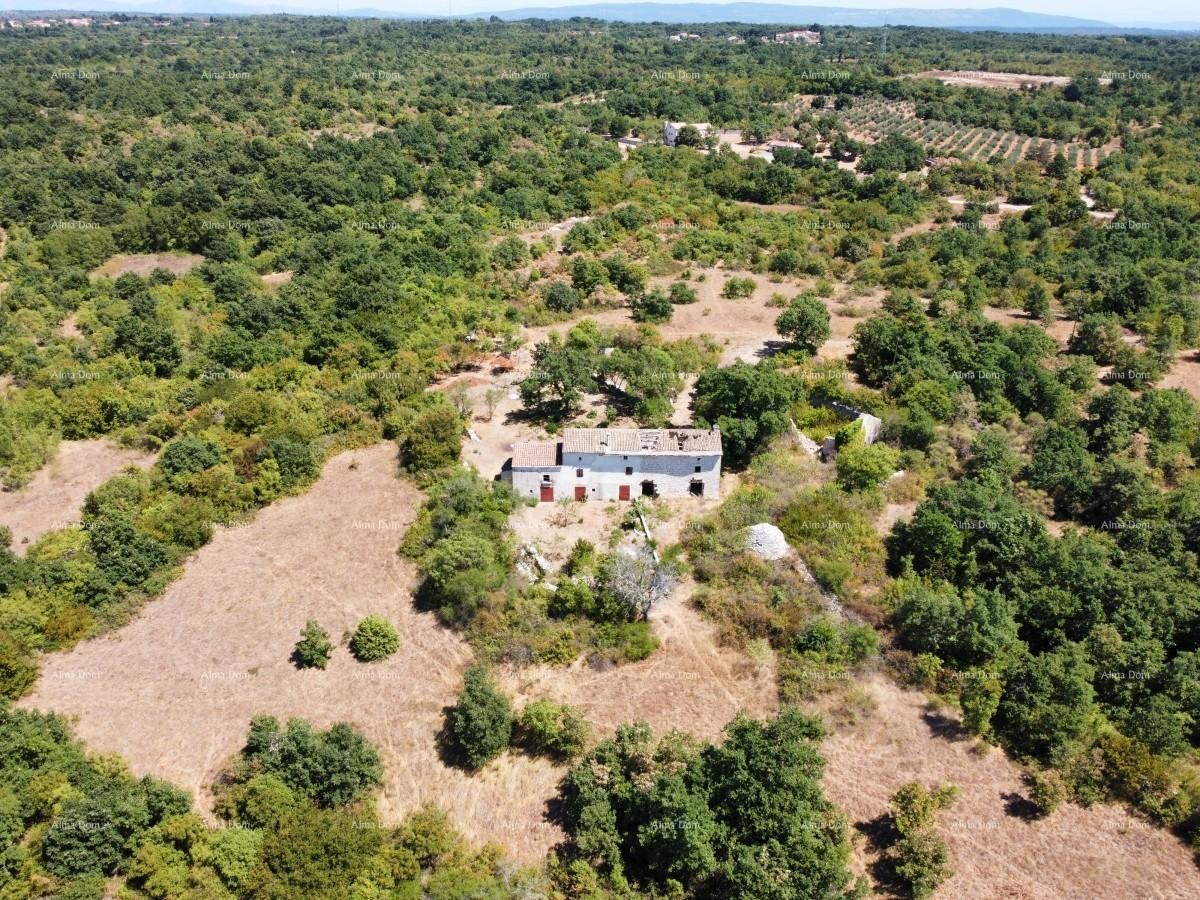 Stancija pri Vodnjanu! Veliko zemljišče 6390 m2!! 14