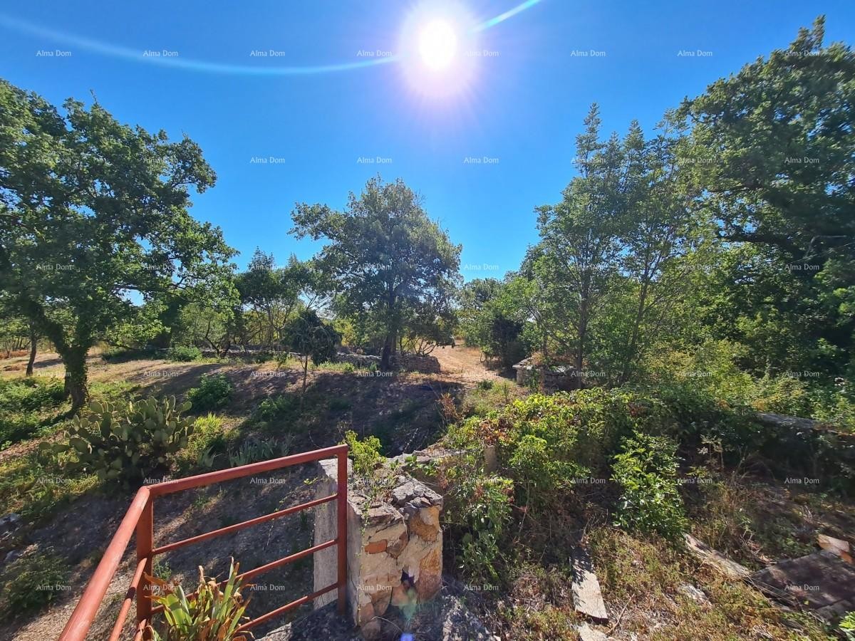 Усадьба возле Водняна! Большой участок 7154 м2!! 13