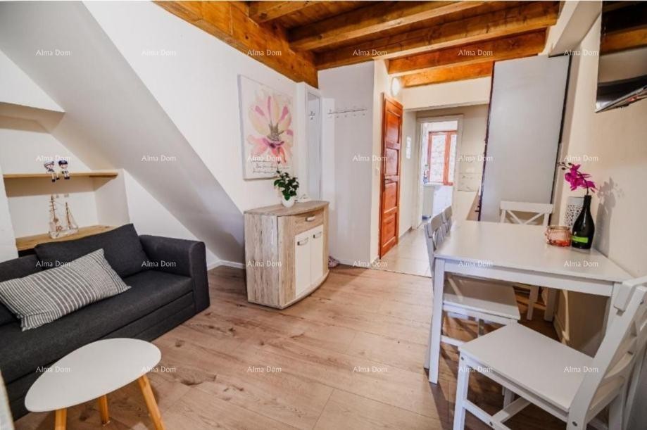 Sale of a furnished and renovated apartment - first row to the sea! Umag 4