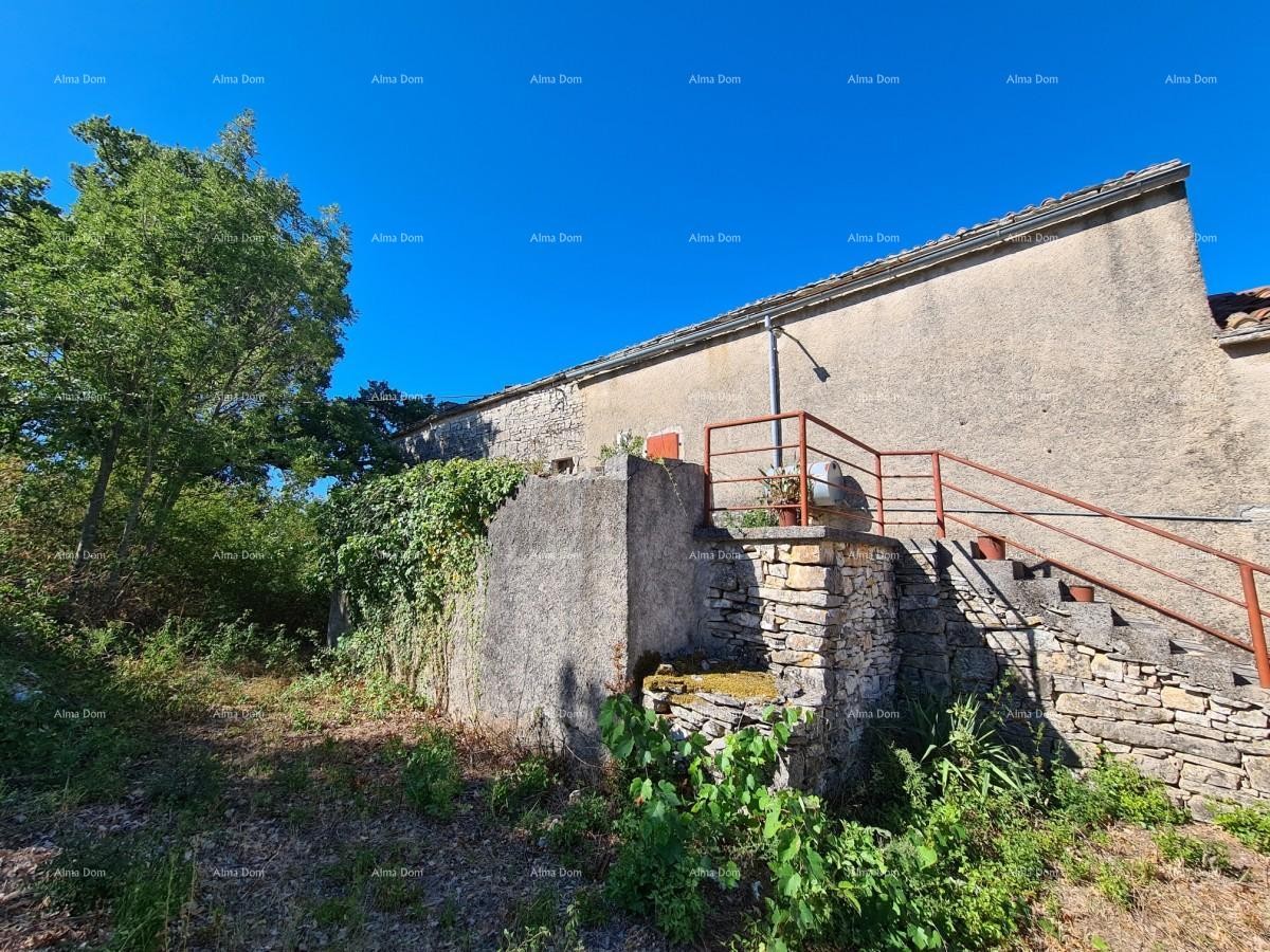 Tenuta vicino a Vodnjan! Grande terreno 7154 m2!! 3